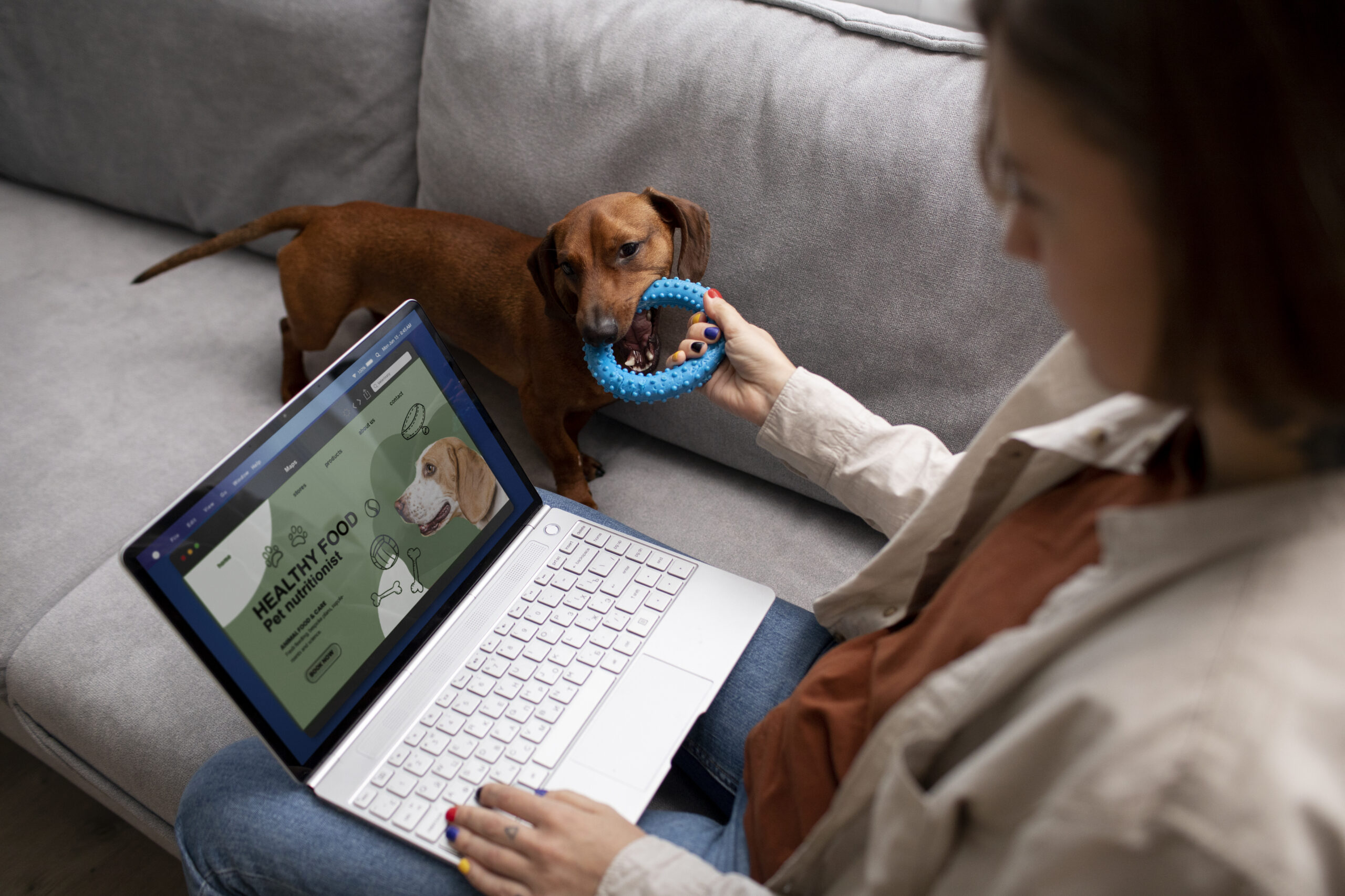 Chóim24h: Vietnam’s Trusted 24-Hour Pet Companion Platform