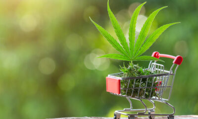 Maryjays DC Weed Dispensary Juice Bar Washington Reviews: Honest Insights from Real Customers