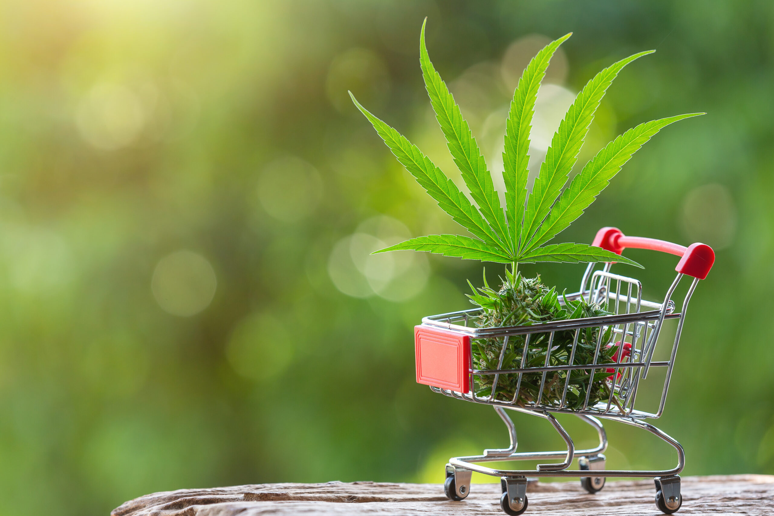 Maryjays DC Weed Dispensary Juice Bar Washington Reviews: Honest Insights from Real Customers